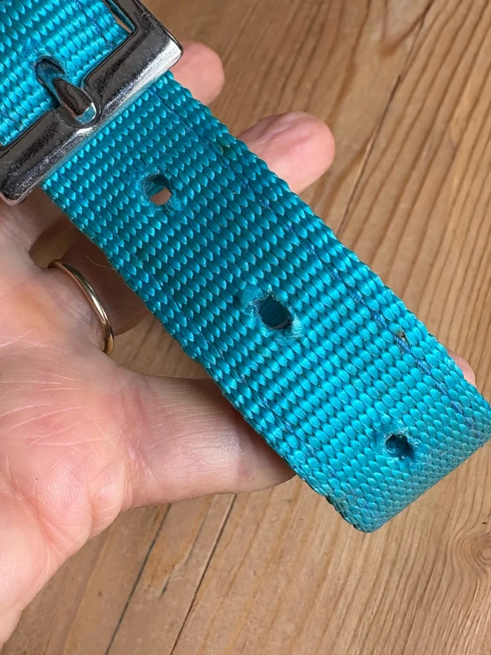 N/A dog collar